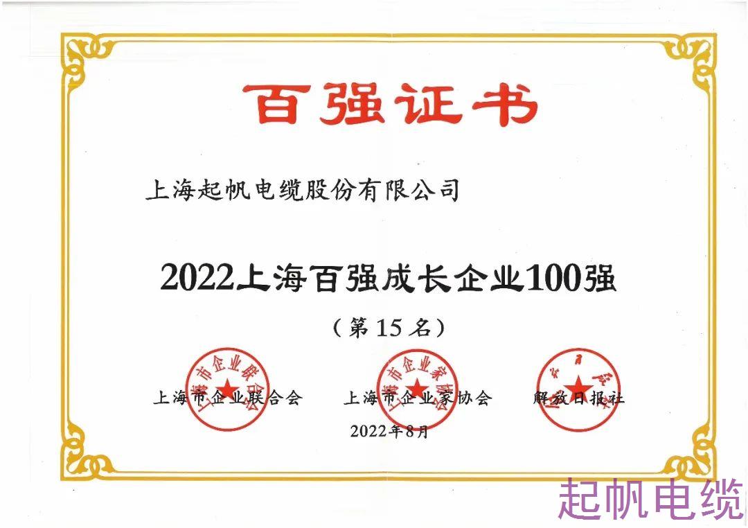 2022年上海企業(yè)100強(qiáng)